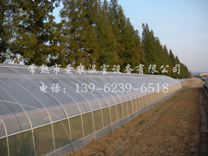 1-3.8噸X系列內(nèi)燃叉車(chē)
